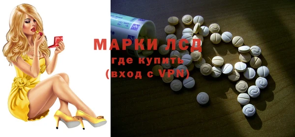 шишки Ельня