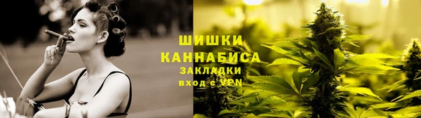 PSILOCYBIN Елизово